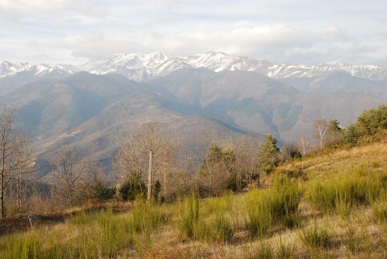 Naturaleza Y Aire Puro En El Pirineo Oriental En Una Bonita Casa Rural De Piedra Prats-de-Mollo-la-Preste Bagian luar foto